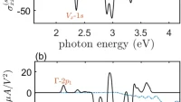 Excitons in nonlinear optical responses: shift current in MoS2 and GeS monolayers