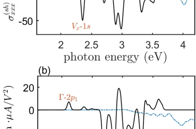 Excitons in nonlinear optical responses: shift current in MoS2 and GeS monolayers