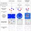 Building unconventional magnetic phases on graphene by H atom manipulation: From altermagnets to Lieb ferrimagnets