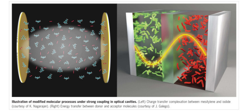 Captivating Cavities - Featured