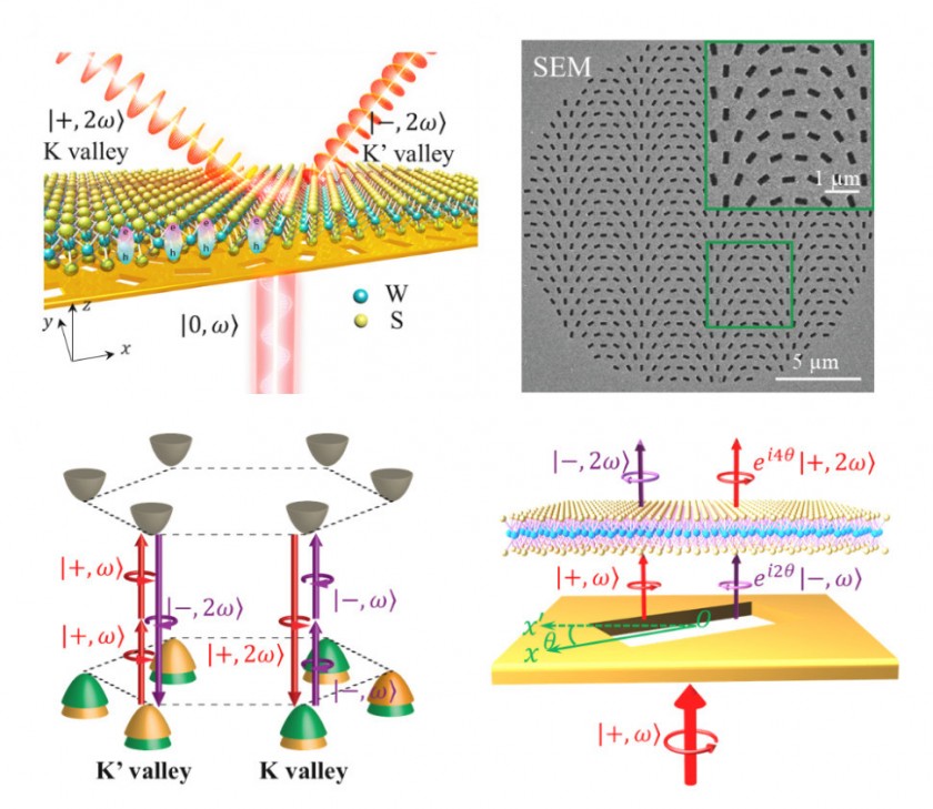 Steering of Chiral Valley Photons in Transition Metal Dichalcogenides - Post