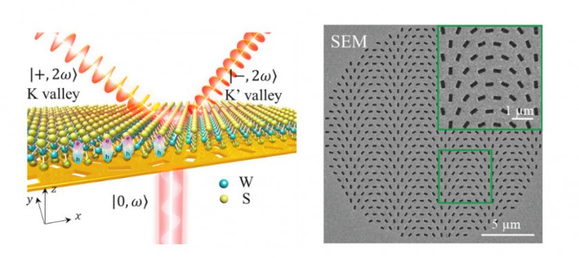 Steering of Chiral Valley Photons in Transition Metal Dichalcogenides