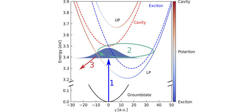 Polaritonic Molecular Clock: Listening to Molecules