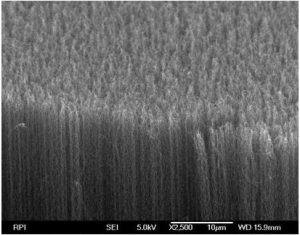 An Array of Carbon Nanotubes as the Darkest Man-made Material Ever