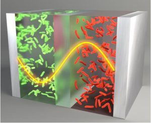 Changing Material Properties with Polaritons