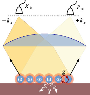 Entanglement Detection in Coupled Particle Plasmons