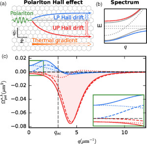 Polariton Hall Effect in Transition-Metal Dichalcogenides