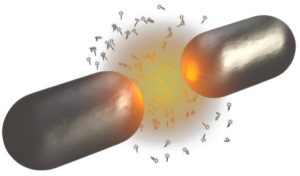 Polaritonic Chemistry