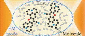 Tensor Network Simulation of Non-Markovian Dynamics in Organic Polaritons