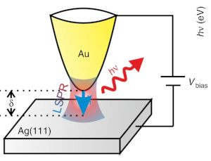 Unveiling the Radiative Local Density of Optical States of a Plasmonic Nanocavity by STM