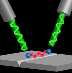 Waveguide Quantum Electrodynamics Based on 1d Plasmons