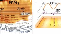 Observation of the Charge Density Wave Excitonic Order Parameter in Topological Insulator Monolayer WTe2
