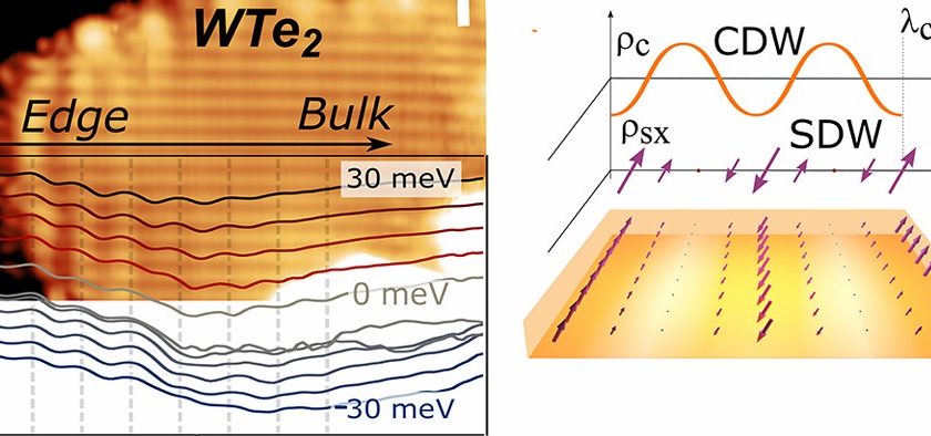 Observation of the Charge Density Wave Excitonic Order Parameter in Topological Insulator Monolayer WTe2