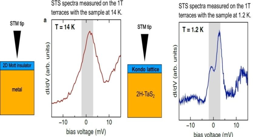 Probing the Phase Transition to a Coherent 2D Kondo Lattice