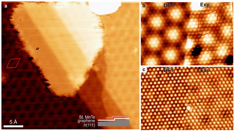 Emergent Magnetic Structures at the 2D Limit of the Altermagnet MnTe