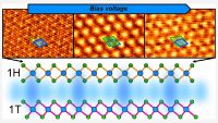 Unveiling the Interlayer Interaction in a1H/1T-TaS2 van der Waals Heterostructure