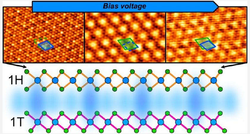 Unveiling the Interlayer Interaction in a1H/1T-TaS2 van der Waals Heterostructure