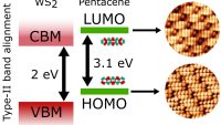 Bottom-Up Realization of a Type-II Organic/Transition-Metal Dichalcogenides Heterointerface: Pentacene on Monolayer WS2