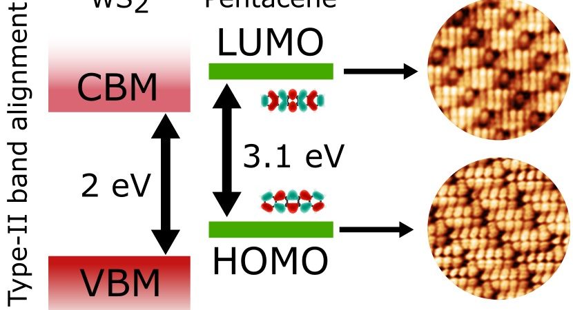 Bottom-Up Realization of a Type-II Organic/Transition-Metal Dichalcogenides Heterointerface: Pentacene on Monolayer WS2